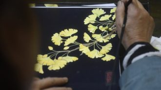 Lacados chinos: Las colecciones digitales inyectan nueva vitalidad a esta antigua forma de arte