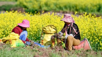 Decodificando la última década de China: 98,99 millones de personas pobres han accedido a una sociedad modestamente acomodada