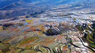 Avanzar hacia el desarrollo sostenible: La sabiduría ecológica de las terrazas milenarias