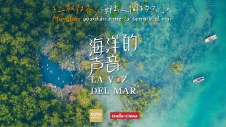 Tesoros del Manglar: La voz del mar y su guardián