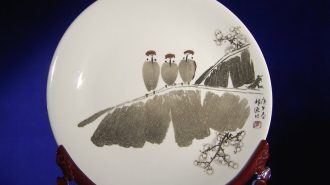 El arte de la cerámica tallada: Un tesoro cultural milenario en China