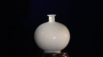 Cerámica Ding: Tesoros de porcelana blanca del norte de China