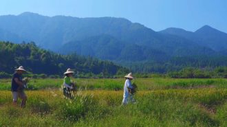 Casas rurales en China: La montaña amarilla