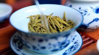 Recorriendo la Ruta Marítima de la Seda: El té de jazmín de Fuzhou