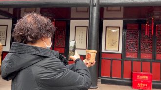 El festival que celebra la iluminación de Buda y el Año Nuevo Chino