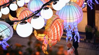 Feria de los faroles de Shanghai: un espectáculo de luz y color