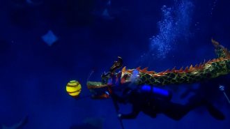 Dragones subacuáticos se sumaron a la celebración del Año Nuevo Chino