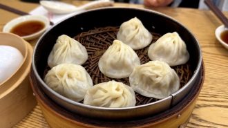 Diseñadora escocesa lleva el xiaolongbao a otro nivel