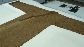Descubren casi 300 figuras de madera con restos de seda en tumba arqueológica de China