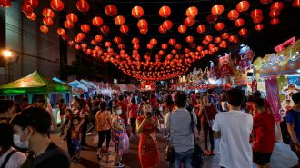 La Fiesta de los Faroles y su importante tradición en China