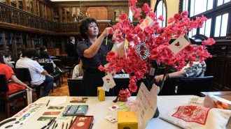 Chile y China festejan reconocimiento de la Fiesta de la Primavera como Patrimonio de la Humanidad