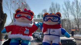 Conoce a las mascotas de los Juegos Asiáticos de Invierno en Harbin