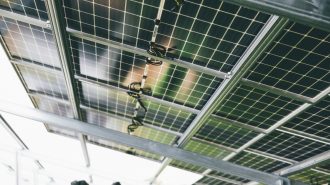 China duplica sus patentes verdes y se posiciona como líder mundial en innovación ecológica