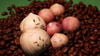¿Café con ajo? En China es un éxito rural