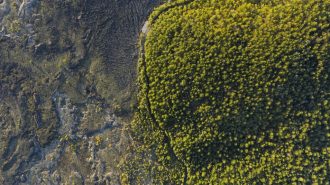 El maravilloso geoparque de Wudalianchi en China