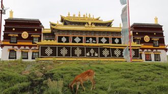 Dazha: El impresionante templo budista tibetano en China 中国