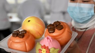 En marcha los preparativos para celebrar el Año Nuevo chino