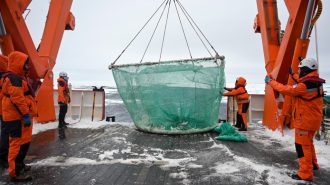 La última expedición china a la Antártica
