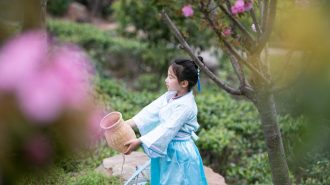 La producción del té como motor de la industria del turismo en el suroeste de China