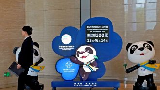 CIIE 2023: Comenzó la cuenta regresiva para la gran feria internacional de importaciones de China