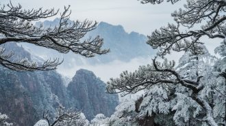 La nieve deja hermosas postales en provincia oriental de China