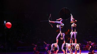China vivió un torbellino de arte y magia en el Festival Internacional de Circo