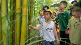 Isla en China se convierte en un “aula ecológica”
