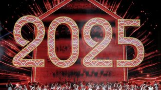 China celebró el inicio del 2025