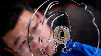 El fénix de jade regresa a Hubei