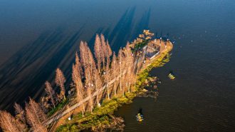 Lago Dianchi: recuperación de una joya natural en China
