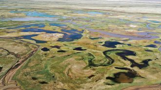 Los impresionantes humedales de Yanchiwan, en China