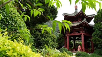 El palacio Huaqing, donde la historia imperial y las aguas termales se entrelazan en Xi’an