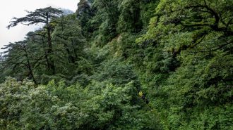 Las montañas de Gaoligongshan: Un tesoro de biodiversidad en China