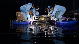 Un vistazo al observatorio chino de rayos cósmicos