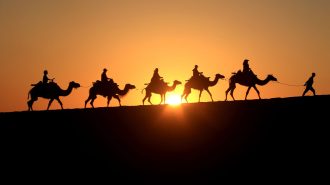 De las Grutas de Mogao a la vibrante cultura budista: Un recorrido por Dunhuang