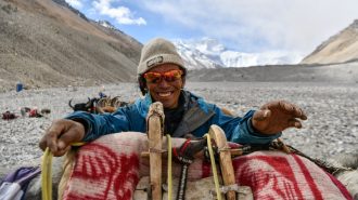 Pastores tibetanos: Los guardianes de la montaña más alta del mundo