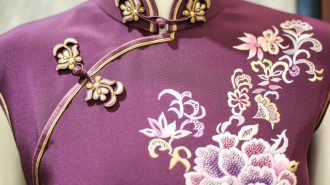 El encanto atemporal del Cheongsam Longfeng: una fusión de tradición y moda en China
