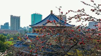 Guangzhou: Un puente cultural entre el pasado y el presente