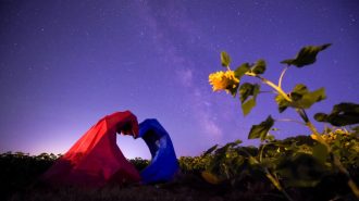 Festival Qixi: el San Valentín chino que une amor y tradición