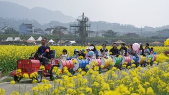 Transformando el campo: El programa de reactivación rural verde en China