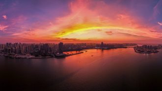 La cría sostenible de pámpanos dorados impulsa la economía marina en el sur de China